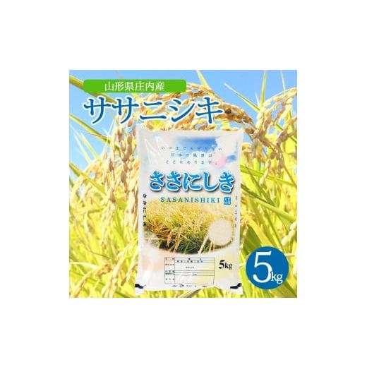ふるさと納税 米 ササニシキ 山形県 酒田市 令和7年産 精米 ササニシキ　5kg×1袋 AK SB...