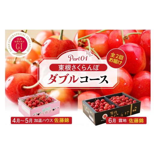 ふるさと納税 果物類 さくらんぼ 山形県 東根市  2026年産 先行予約 東根さくらんぼ ダブルコ...