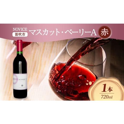 ふるさと納税 ワイン 赤ワイン 山梨県 笛吹市 赤ワイン NOVICE マスカット・ベーリーA 72...