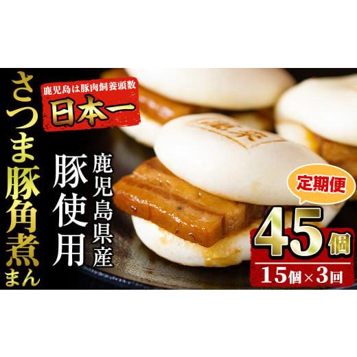 ふるさと納税 総菜パン・バーガー等 鹿児島県 志布志市  定期便・全3回 鹿児島県産 さつま豚角煮ま...