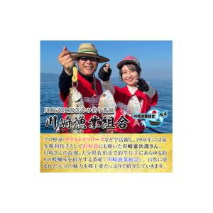 ふるさと納税 体験チケット 大分県 佐伯市 メ...の詳細画像2