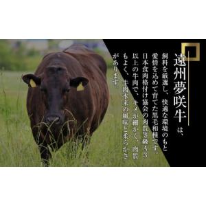 ふるさと納税 牛肉 ヒレ 静岡県 御前崎市 遠...の詳細画像2