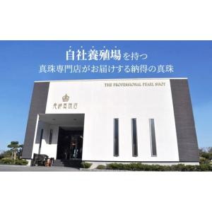 ふるさと納税 アクセサリー ネックレス 長崎県...の詳細画像2