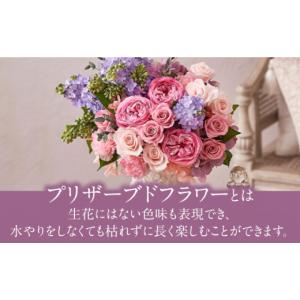 ふるさと納税 雑貨・日用品 花 神奈川県 横須...の詳細画像2