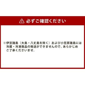 ふるさと納税 麺類 長崎県 長崎市 全12回定...の詳細画像4