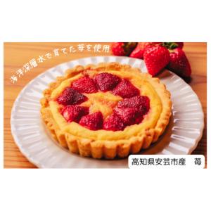 ふるさと納税 焼菓子・チョコレート 高知県 安...の詳細画像3