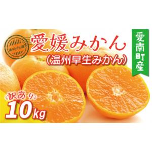 ふるさと納税 果物類 みかん 愛媛県 愛南町 先行予約 訳あり 愛媛みかん （ 温州 早生 みかん ） 10kg 12000円 愛媛 みかん 温州みかん 早生 みかん こたつ わ…