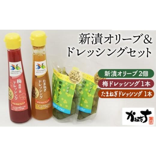 ふるさと納税 加工品等 神奈川県 二宮町 No.075 新漬オリーブ＆ドレッシングセット かねきち ...