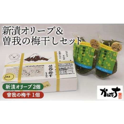 ふるさと納税 加工品等 神奈川県 二宮町 No.076 新漬オリーブ＆曽我の梅干しセット かねきち ...