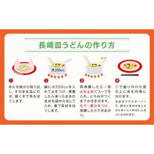 ふるさと納税 麺類 長崎県 長崎市 全12回定...の詳細画像4