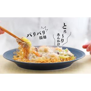 ふるさと納税 うどん 長崎県 長崎市 全12回...の詳細画像3