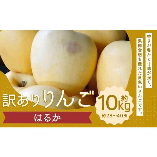 ふるさと納税 りんご 岩手県 二戸市 訳あり りんご（はるか） 約10kg ／りんご 林檎 果物 く...