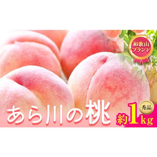 ふるさと納税 もも 和歌山県 紀の川市  先行予約 和歌山県紀の川市産あら川の桃 約1kg 秀品 前...