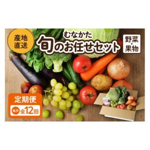 ふるさと納税 セット・詰合せ 福岡県 宗像市 毎月お届け むなかた旬のお任せセット（野菜・フルーツ）9〜11品 JAほたるの里 _HB0175 | 定期便 野菜 果物 12回…