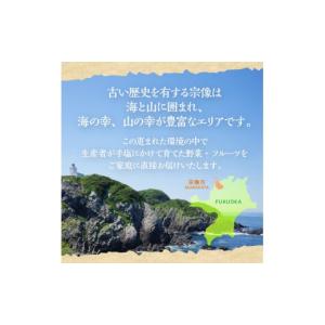 ふるさと納税 セット・詰合せ 福岡県 宗像市 ...の詳細画像2