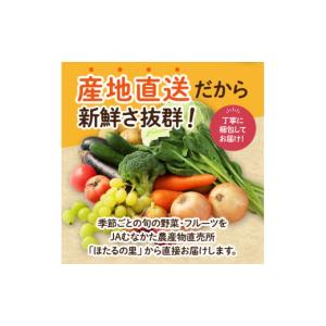 ふるさと納税 セット・詰合せ 福岡県 宗像市 ...の詳細画像3