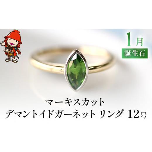 ふるさと納税 アクセサリー リング 大分県 中津市 誕生石 1月 マーキスカット デマントイドガーネ...