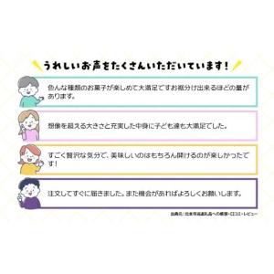 ふるさと納税 菓子 チョコレート 埼玉県 北本...の詳細画像3