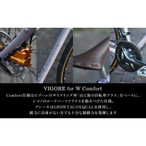 ふるさと納税 自転車 京都府 京都市 VIGO...の詳細画像3