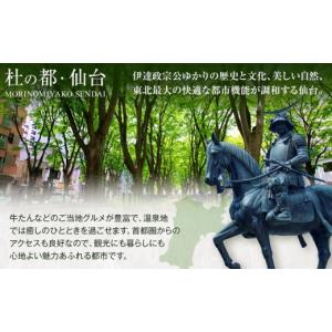 ふるさと納税 ビール 宮城県 仙台市 12ヵ月...の詳細画像5