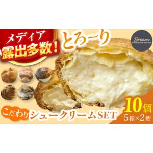 ふるさと納税 焼菓子・チョコレート 福岡県 広川町  10個 9ream（クリーム） こだわりシュークリームSET 専門店 クリーム スイーツ 広川町 ／ イートウェル株…