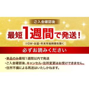 ふるさと納税 ビール 大分県 日田市 最短1週...の詳細画像2