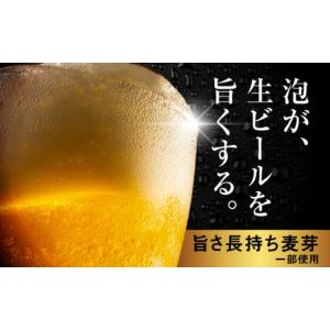 ふるさと納税 ビール 大分県 日田市 最短1週...の詳細画像3