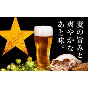 ふるさと納税 ビール 大分県 日田市 最短1週...の詳細画像4