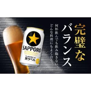 ふるさと納税 ビール 大分県 日田市 最短1週...の詳細画像5