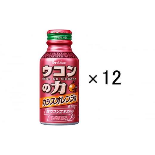 ふるさと納税 果汁飲料 兵庫県 伊丹市 ハウスウェルネスフーズ　ウコンの力　カシスオレンジ味　2パッ...