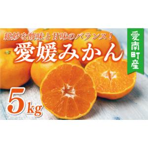 ふるさと納税 果物類 みかん 愛媛県 愛南町 ...の詳細画像1