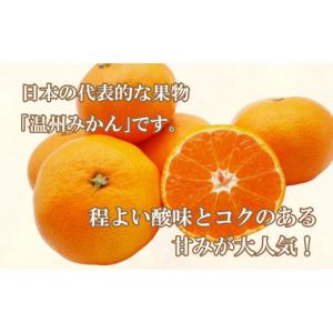ふるさと納税 果物類 みかん 愛媛県 愛南町 ...の詳細画像3