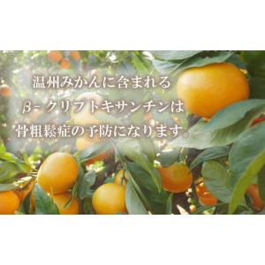 ふるさと納税 果物類 みかん 愛媛県 愛南町 ...の詳細画像5