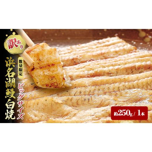 ふるさと納税 うなぎ 静岡県 浜松市  訳アリ・数量限定 浜名湖鰻白焼1本（約250ｇ） ビッグサイ...
