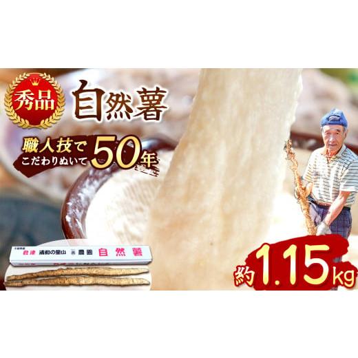 ふるさと納税 人参・大根・他根菜 千葉県 君津市 自然薯 約1.1kg 1本 千葉県産 11月上旬頃...