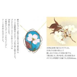 ふるさと納税 アクセサリー ペンダント 茨城県...の詳細画像4