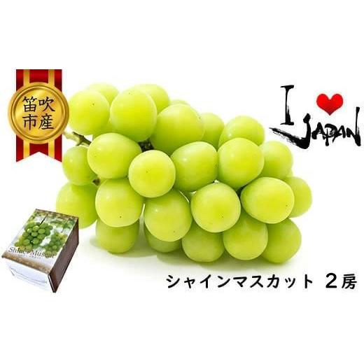 ふるさと納税 ぶどう マスカット 山梨県 笛吹市  2025年冬発送 低温貯蔵シャインマスカット2房...