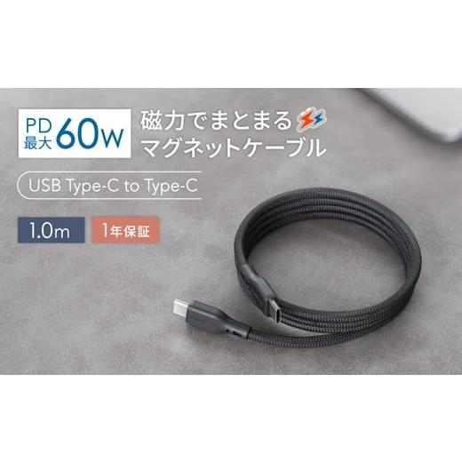 ふるさと納税 電化製品 神奈川県 海老名市 Owltech(オウルテック) 磁力でまとまる PD60...