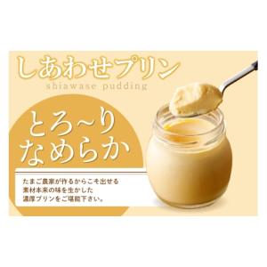 ふるさと納税 菓子 プリン 愛知県 常滑市 定...の詳細画像3