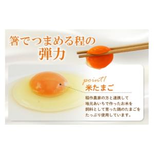 ふるさと納税 菓子 プリン 愛知県 常滑市 定...の詳細画像4