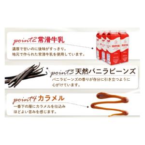 ふるさと納税 菓子 プリン 愛知県 常滑市 定...の詳細画像5