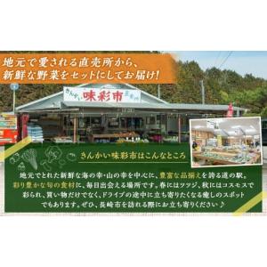 ふるさと納税 セット・詰合せ 長崎県 長崎市 ...の詳細画像2