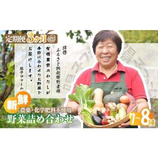 ふるさと納税 セット・詰合せ 埼玉県 所沢市  3ヵ月定期便 旬の野菜詰め合わせ7種~8種 | 野菜...