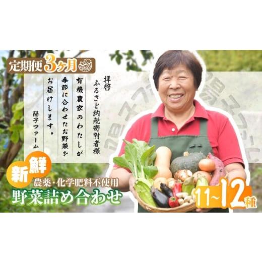 ふるさと納税 セット・詰合せ 埼玉県 所沢市  3ヵ月定期便 旬の野菜詰め合わせ11種~12種 | ...