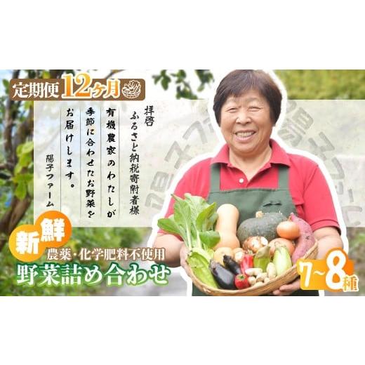 ふるさと納税 セット・詰合せ 埼玉県 所沢市  12ヵ月定期便 旬の野菜詰め合わせ7種~8種 | 野...
