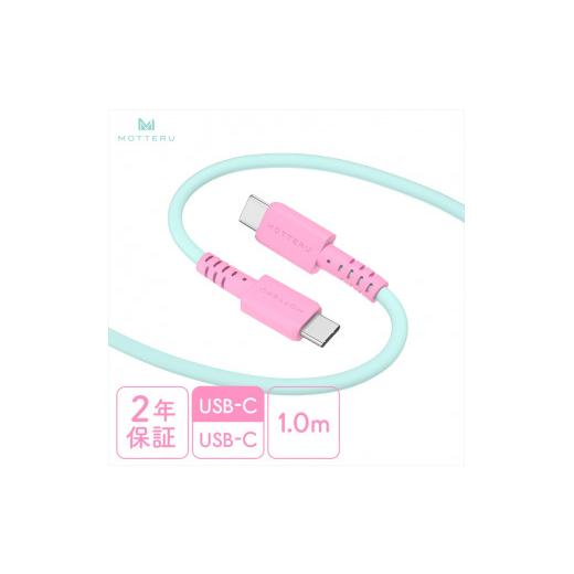 ふるさと納税 電化製品 神奈川県 海老名市 バイカラーケーブル USB-C to USB-C 60W...