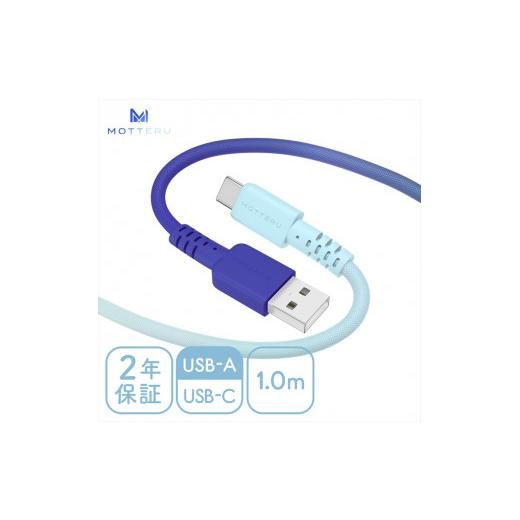 ふるさと納税 電化製品 神奈川県 海老名市 グラデーションケーブル USB-A to USB-C i...