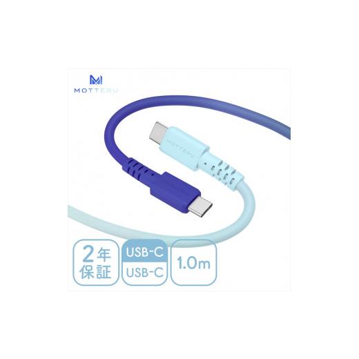 ふるさと納税 電化製品 神奈川県 海老名市 グラデーションケーブル USB-C to USB-C 6...