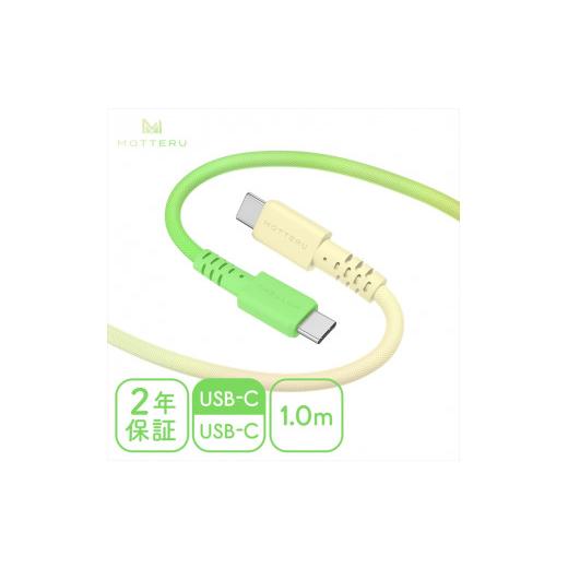 ふるさと納税 電化製品 神奈川県 海老名市 グラデーションケーブル USB-C to USB-C 6...