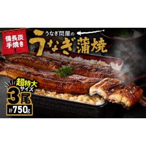 ふるさと納税 うなぎ 鹿児島県 鹿屋市 土用の丑...の商品画像